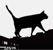 Quand les chats se transforment en filles…