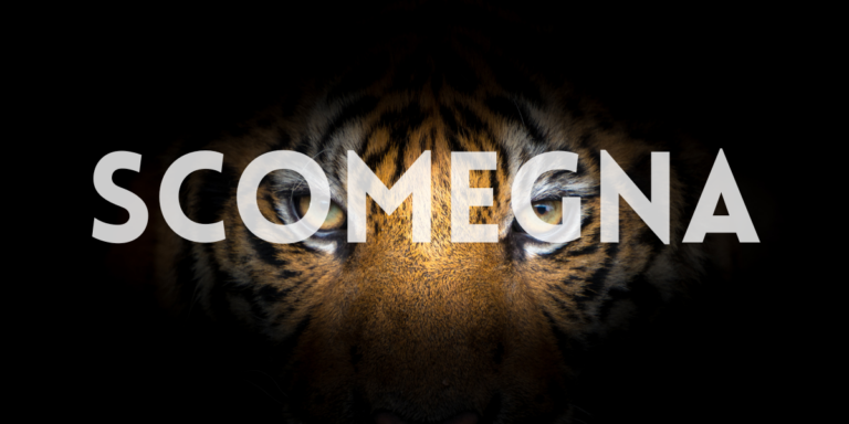 Masterpieces from the Scomegna publishing house